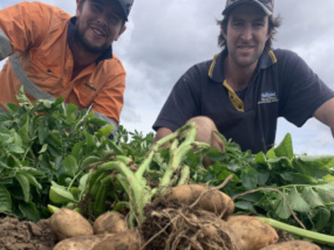 Simplot Farming Agronomists Patrick Groenewold and Rhys Beattie