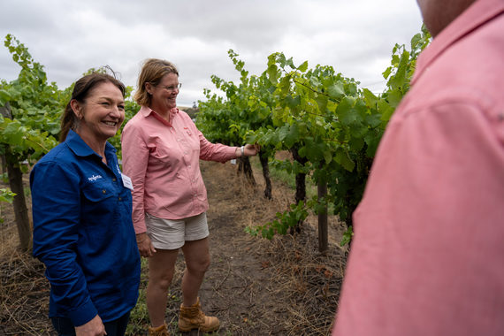 Learning is seriously good fun. Syngenta Technical Services Lead Brandy Rawnsley with guests at the Syngenta Learning Centre in viticulture.