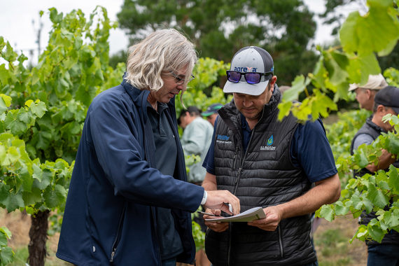 The E.E Muir & Sons agronomy team was eager to assess fungicide treatments at the Syngenta Learning Centre in viticulture.