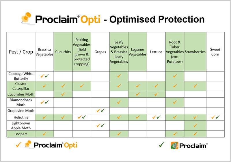 Proclaim Opti vs Proclaim