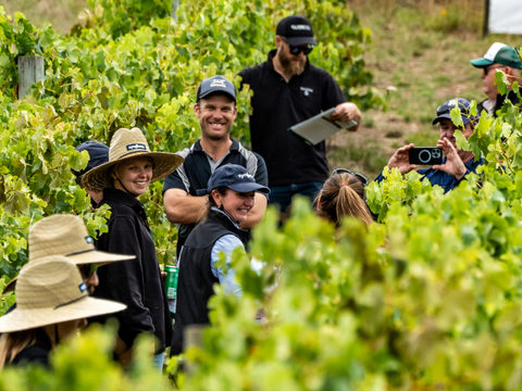 2023 Viticulture Syngenta Learning Centre Story