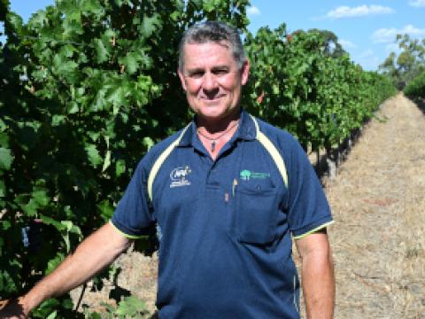 Viticulture specialist Mike Sleegers, of Cowaramup Agencies, WA