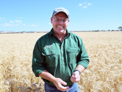 Cummins Ag Nutrien Agronomist Richard May in wheat field