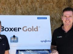 BOXER GOLD® | Herbicide