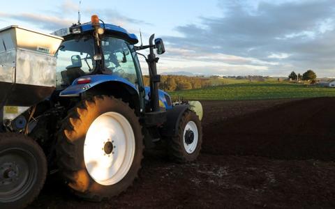 Potato planting event