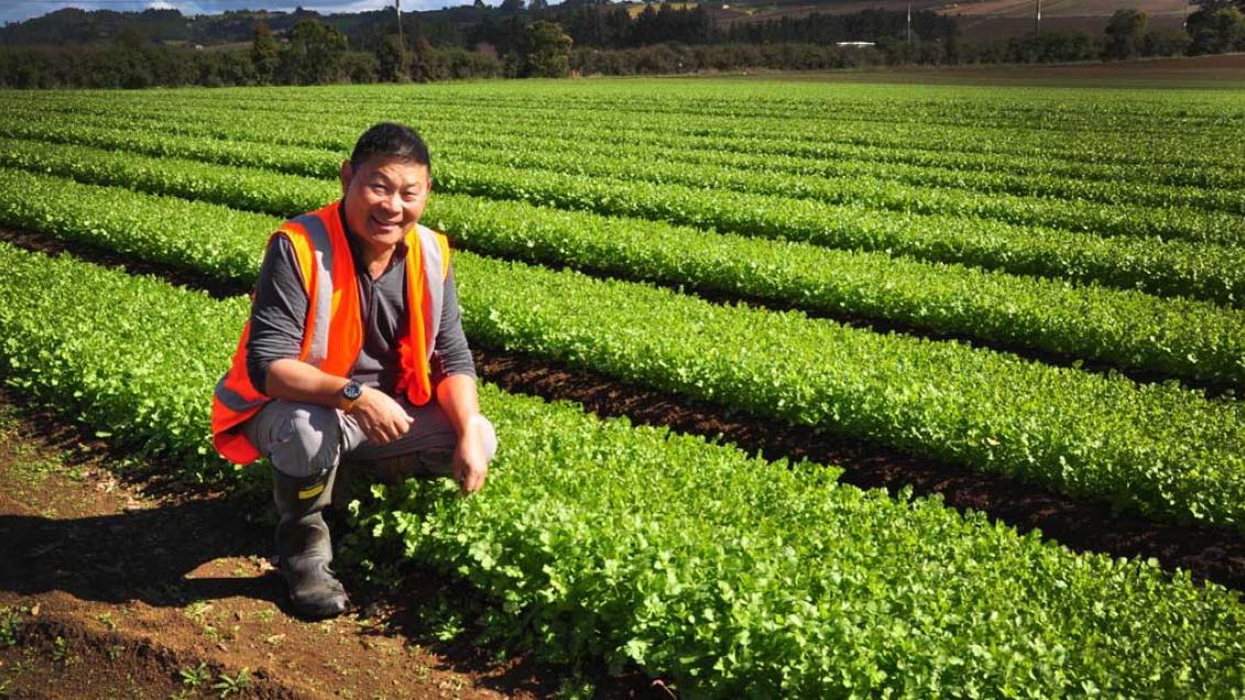 Vegetable grower Allan Fong provides niche products to a “foodie” market, and takes his product stewardship very seriously.