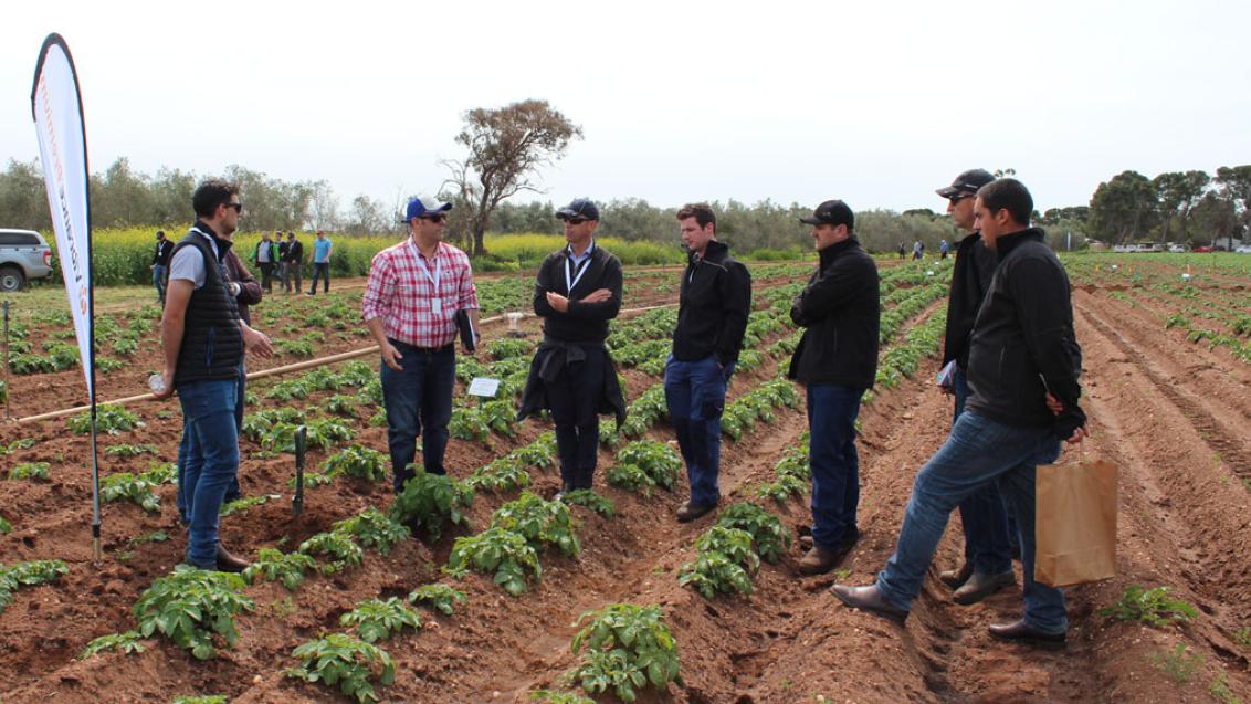 Potato Partners Academy