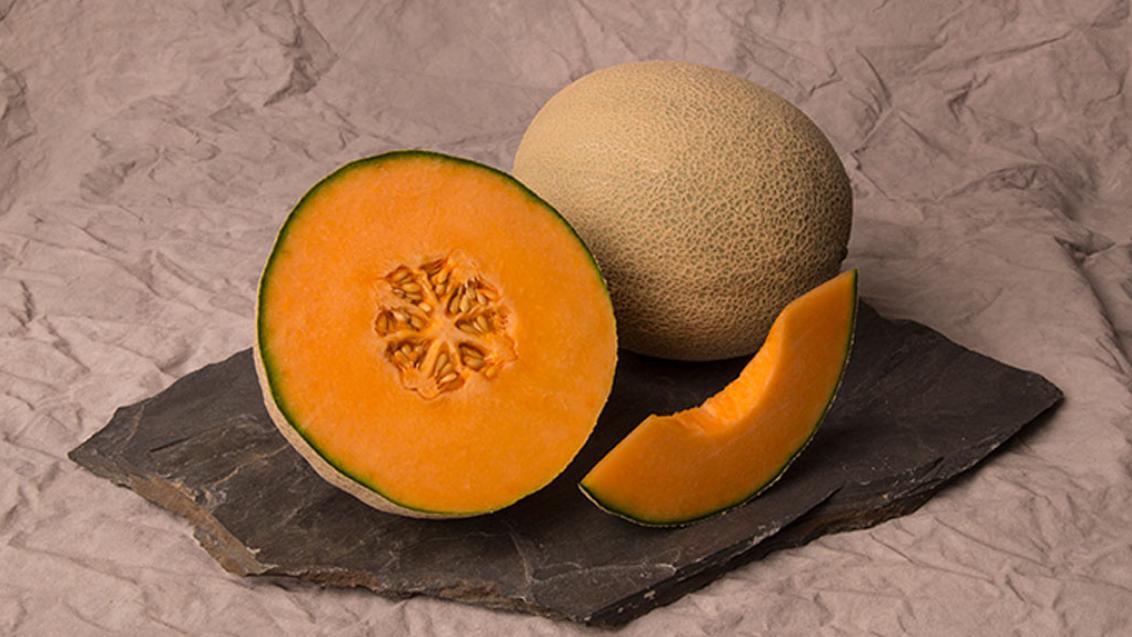 Claudia melon