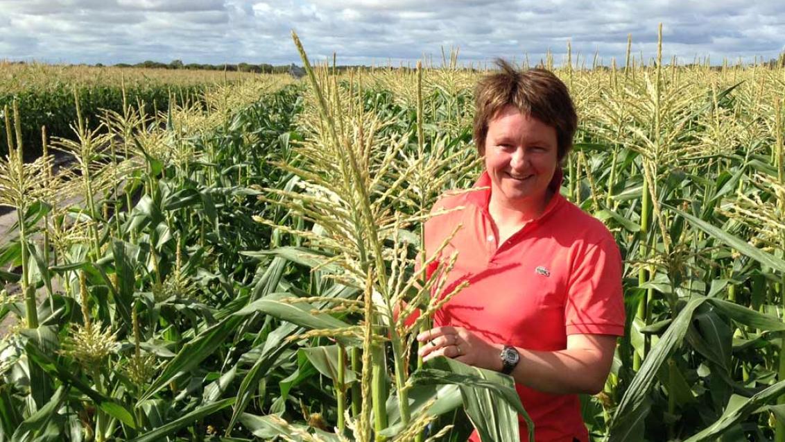 Sandra Verlaat is Product Manager Leafy Brassica and Solanacea AGH (Active Greenhouse) 