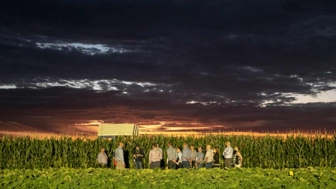 Syngenta GrowMore Experience Gatton Queensland