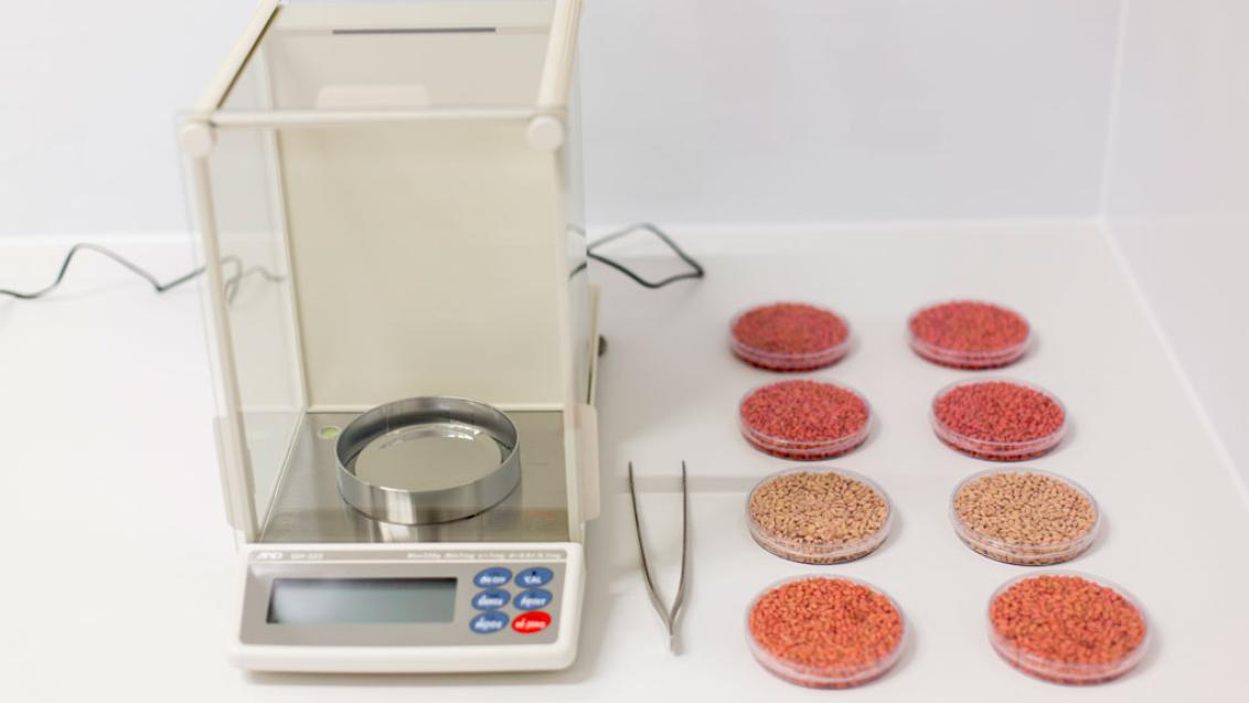 The Seedcare Institute Wagga Wagga visual assessment of treated seed