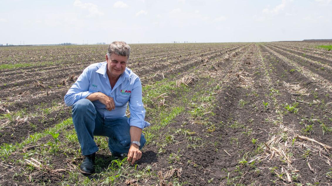 Syngenta is a sponsor of WeedSmart which encourages complete control of summer in-crop weeds