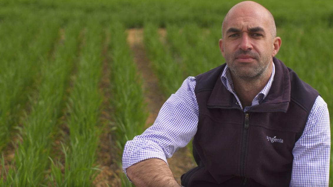 Living Farm trial shows Syngenta Seedcare product Uniform is a specialist in Rhiizoctonia control.