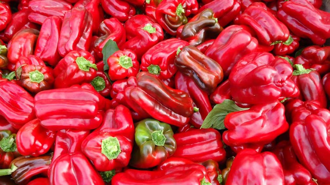 Syngenta variety Remy capsicums