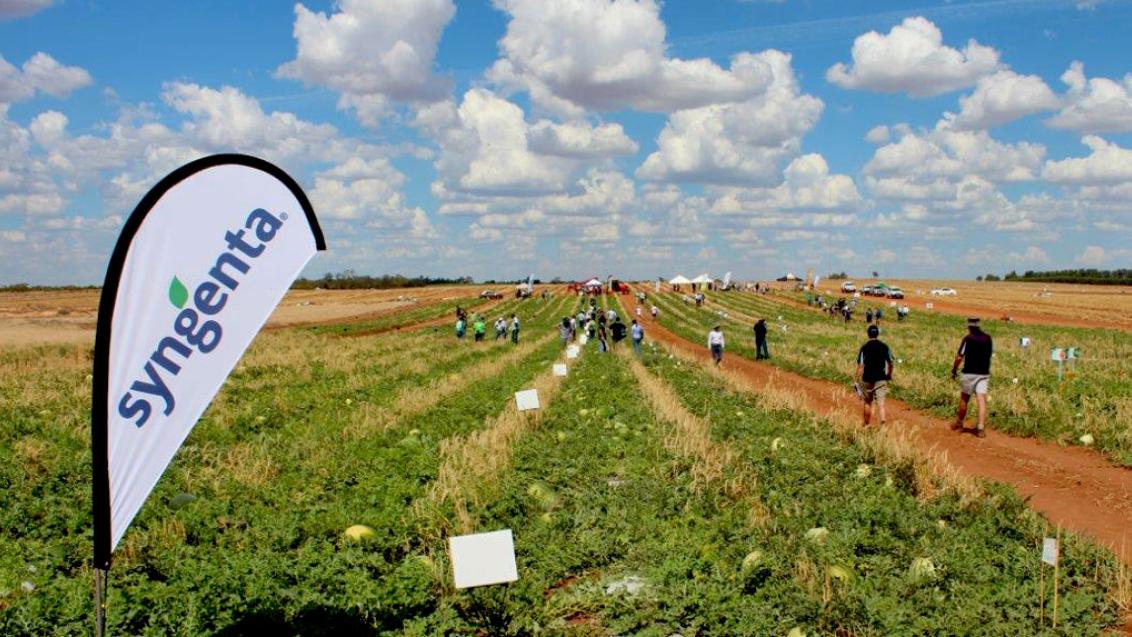 people walking through a field