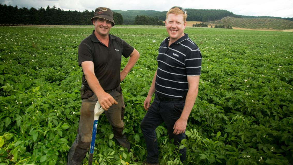Potato farmers standing in front of crops 