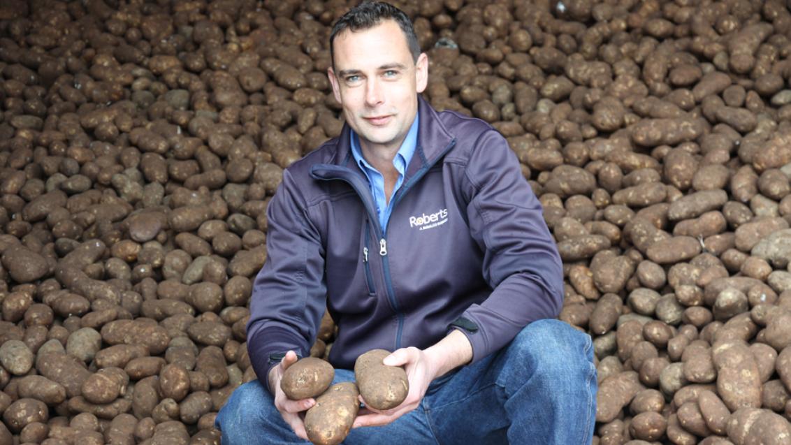 man sitting on a pile of potatoes 