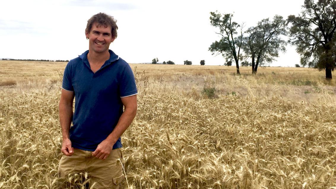 Cereal grower, Ben Batters in his crop treated with AXIAL for control of Wild Oats.