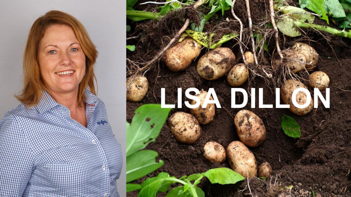 Lisa Dillion banner 