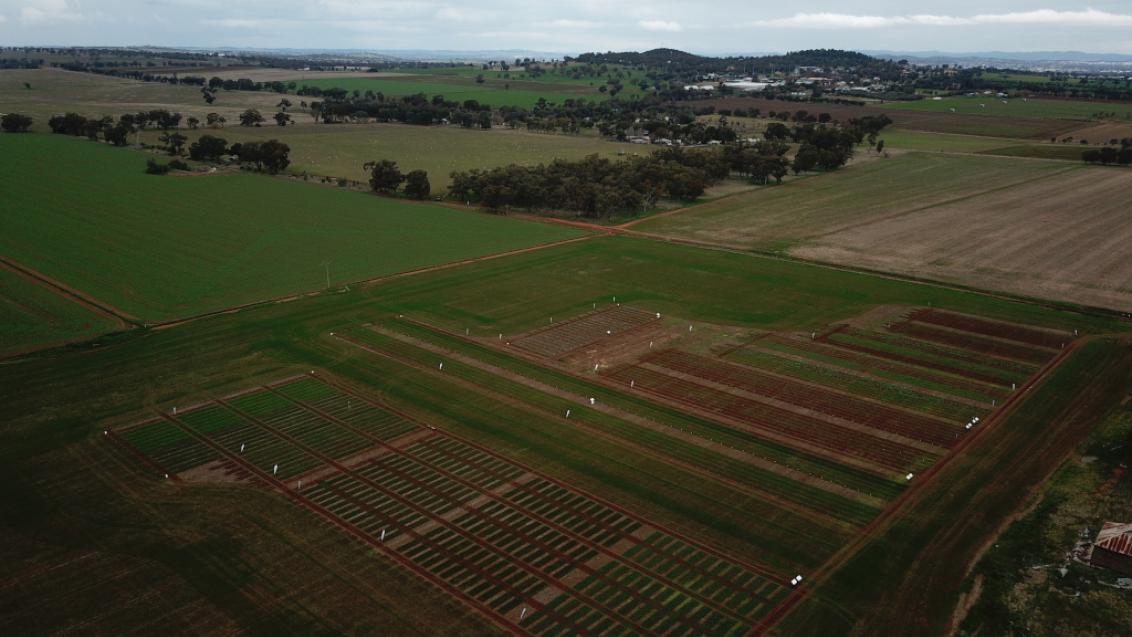 Ariel photo of australian farmland