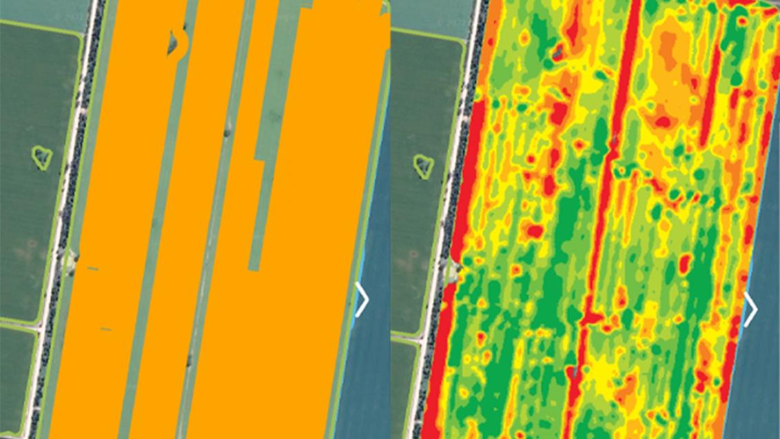 Broden Holland yield map