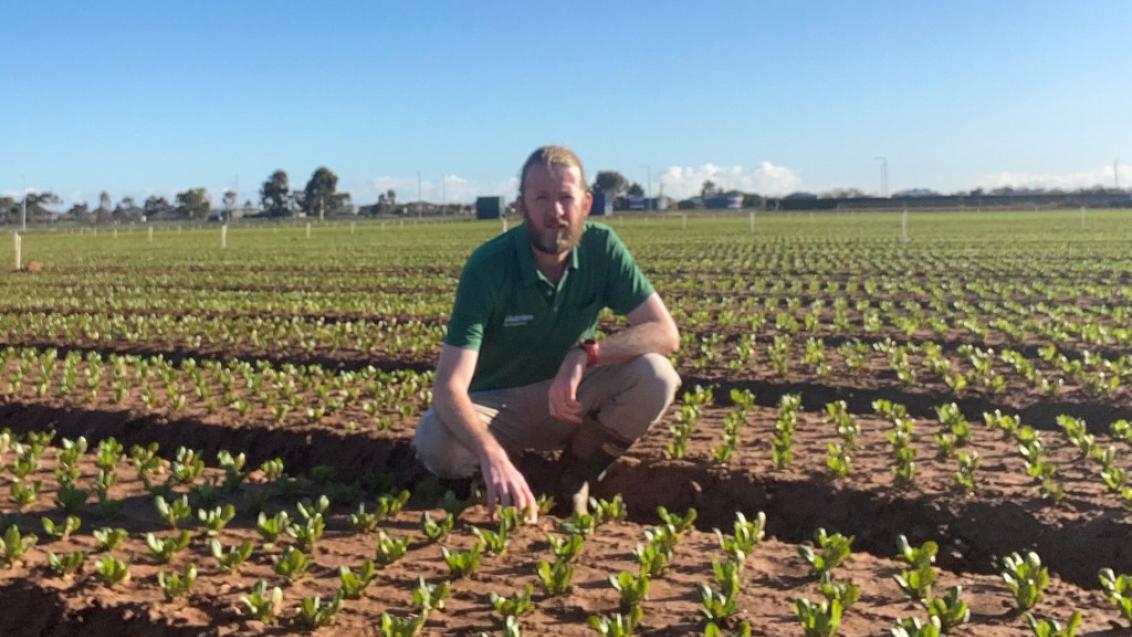 Nutrien agronomist Sigurd Howard for MIRAVIS® Prime fungicide