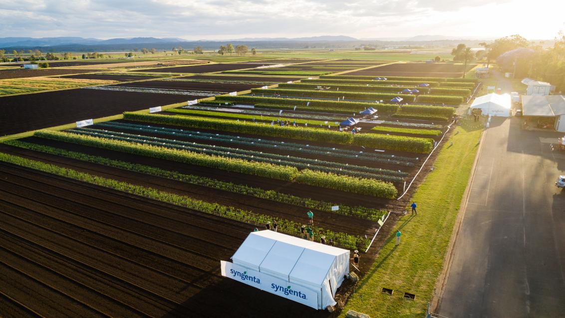 Syngenta GrowMore Gatton 2022