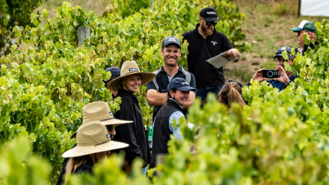 2023 Viticulture Syngenta Learning Centre Story