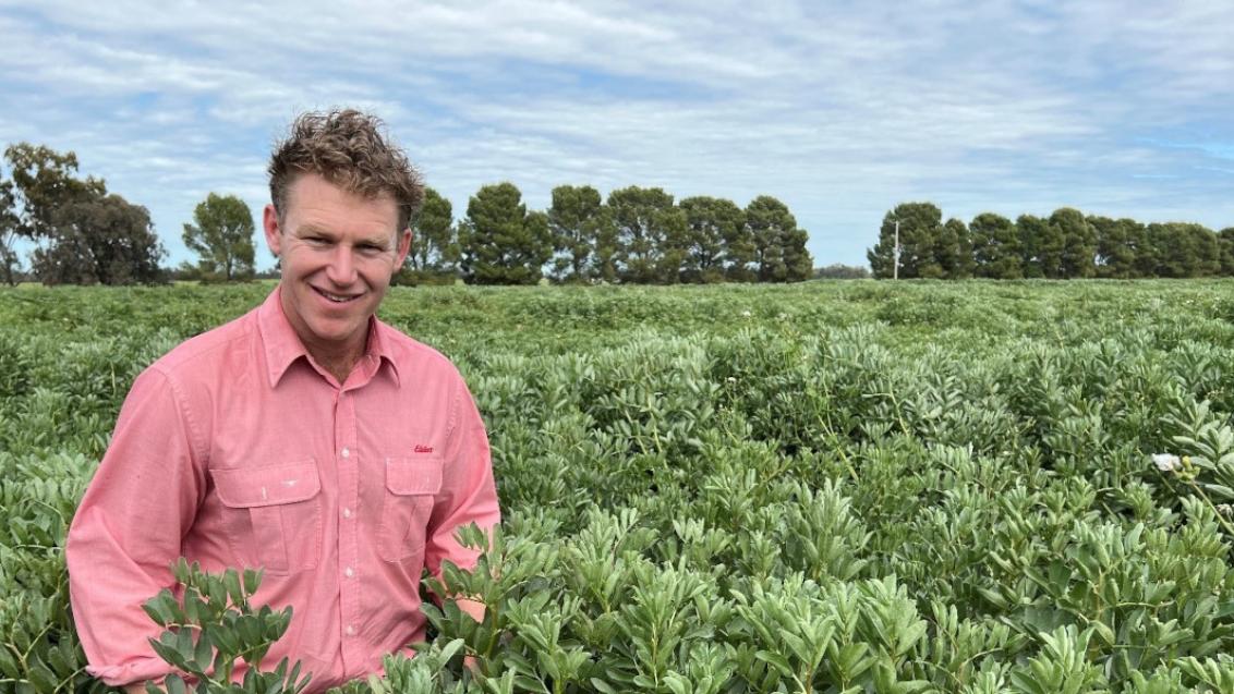 Elders Agronomist Chris Toohey