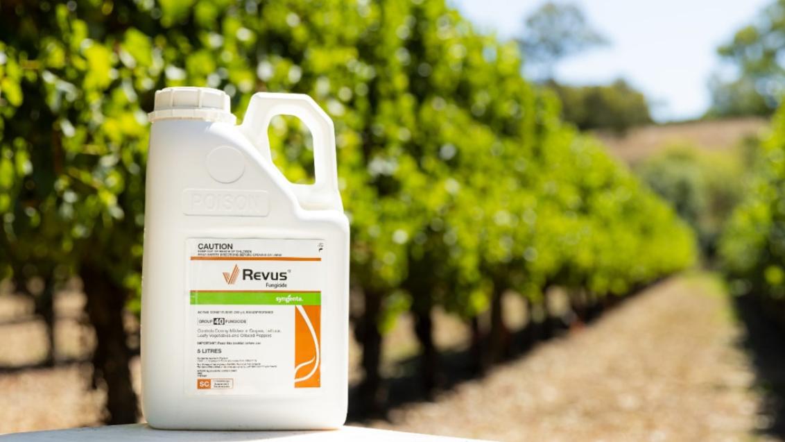 REVUS fungicide in vineyard