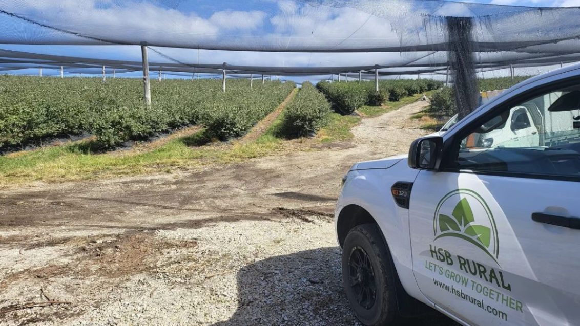 MSA Rural vehicle parked on dirt road beside irrigation pipes and crop rows under blue sky▍