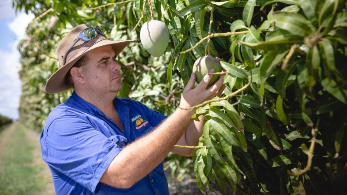 Martos Mangoes manager, Ben Martin