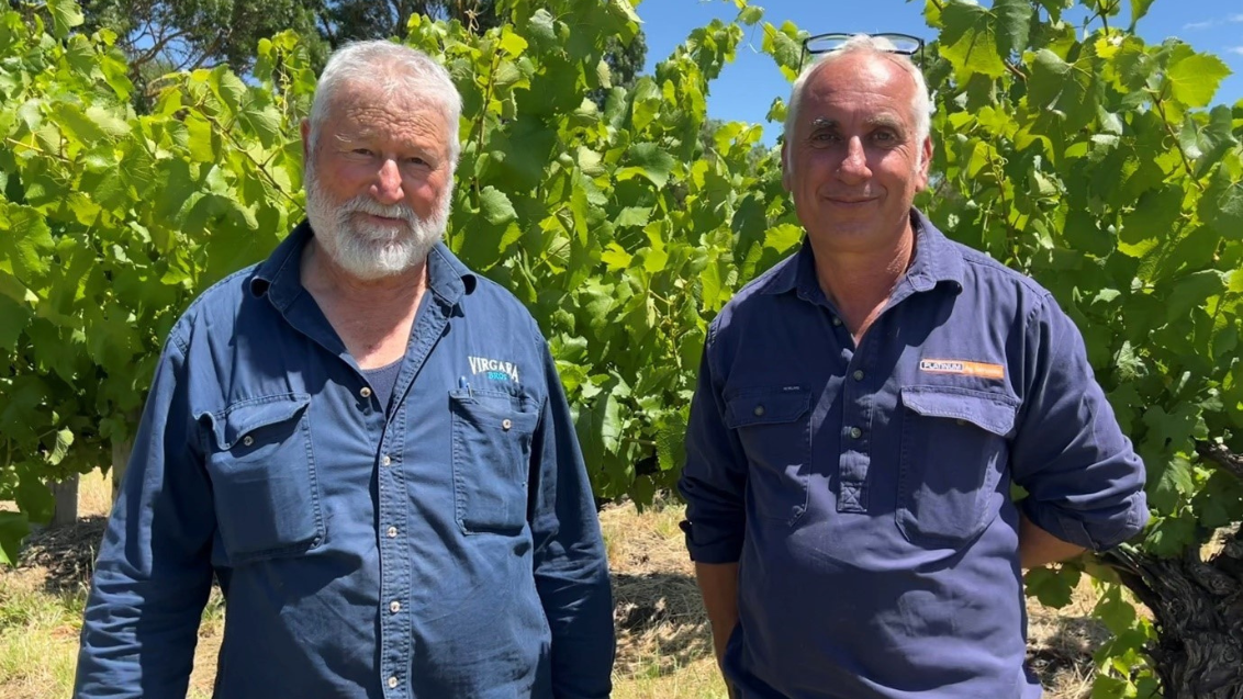 Pat Virgara, Barossa grapegrower with Paul Pezzaniti, senior agronomist, Platinum Ag. 
