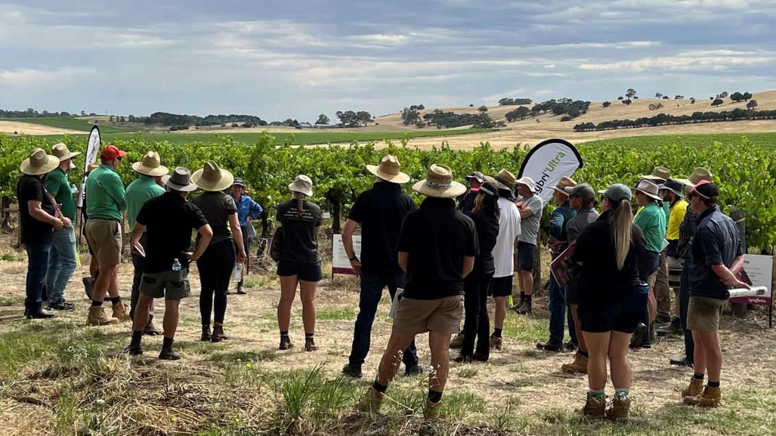 Participants at the Syngenta learning Centre, Barossa Valley.