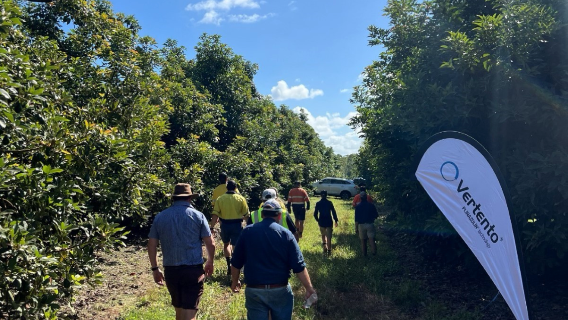Syngenta Vertento field walk
