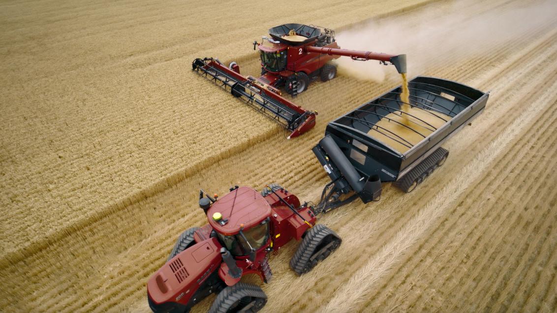 tractor harvesting in healthy wheat field