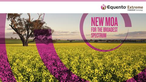 EQUENTO® Extreme | Seed treatment