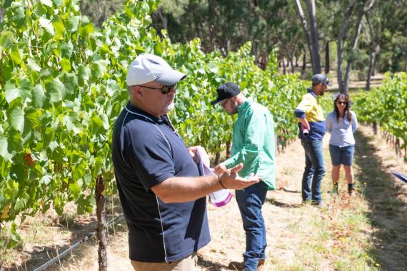 Scott Mathew Syngenta Product Lead for Viticulture and Fruit