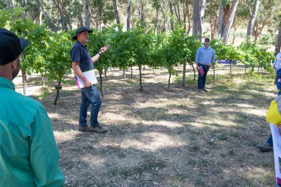 Jason Sabeeney discusses herbicide use