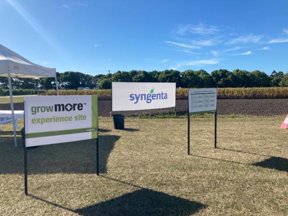 Syngenta Gromore promo