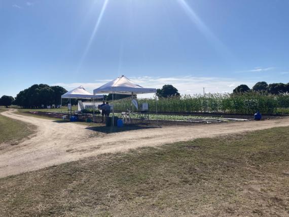 agricultural field day