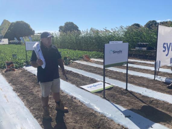 Syngenta agronomist presenting at field trial demonstration day with labelled crop plots and signage