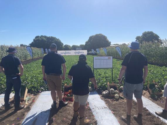 agricultural field day check