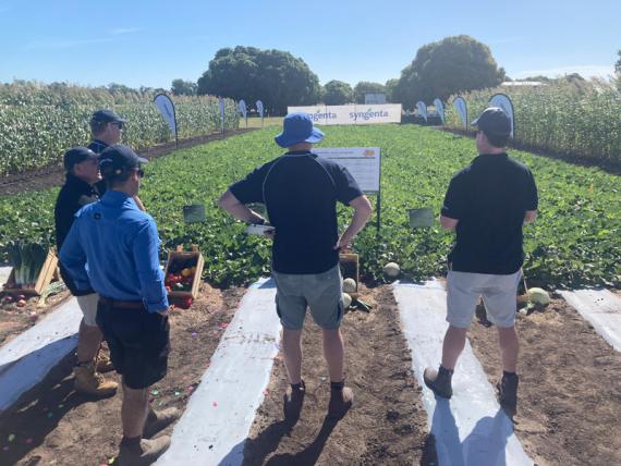 agricultural field day