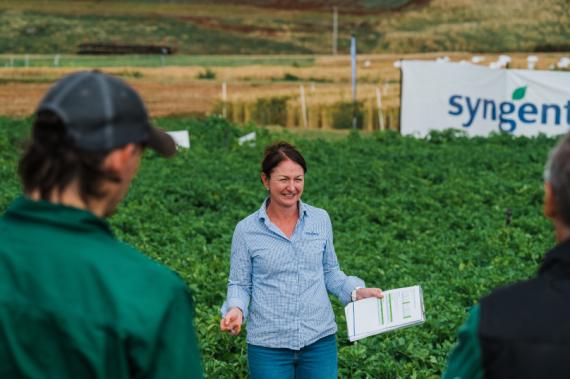 Syngenta potato parters