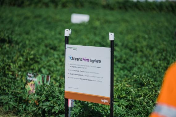 Miravis Prime highlights sign