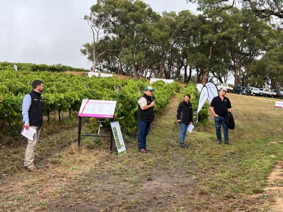 2023 Viticulture Syngenta Learning Centre - Kuitpo