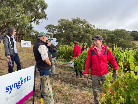 2023 Viticulture Syngenta Learning Centre - Kuitpo