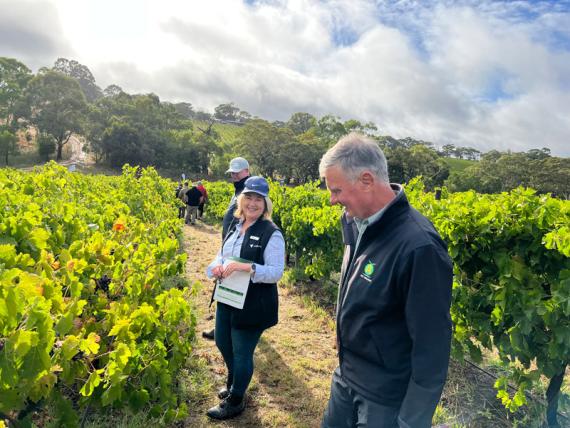 2023 Viticulture Syngenta Learning Centre - Kuitpo
