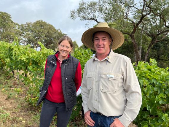 2023 Viticulture Syngenta Learning Centre - Kuitpo